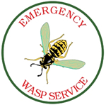 emergency wasp service