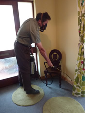 flea treatment