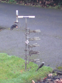 mole trap