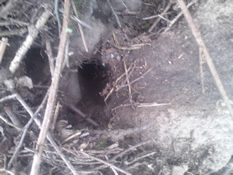rat hole