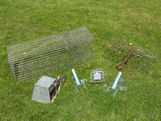 squirrel traps
