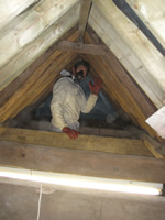 woodworm treatment