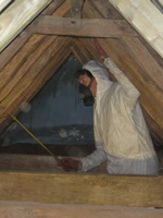 woodworm treatment